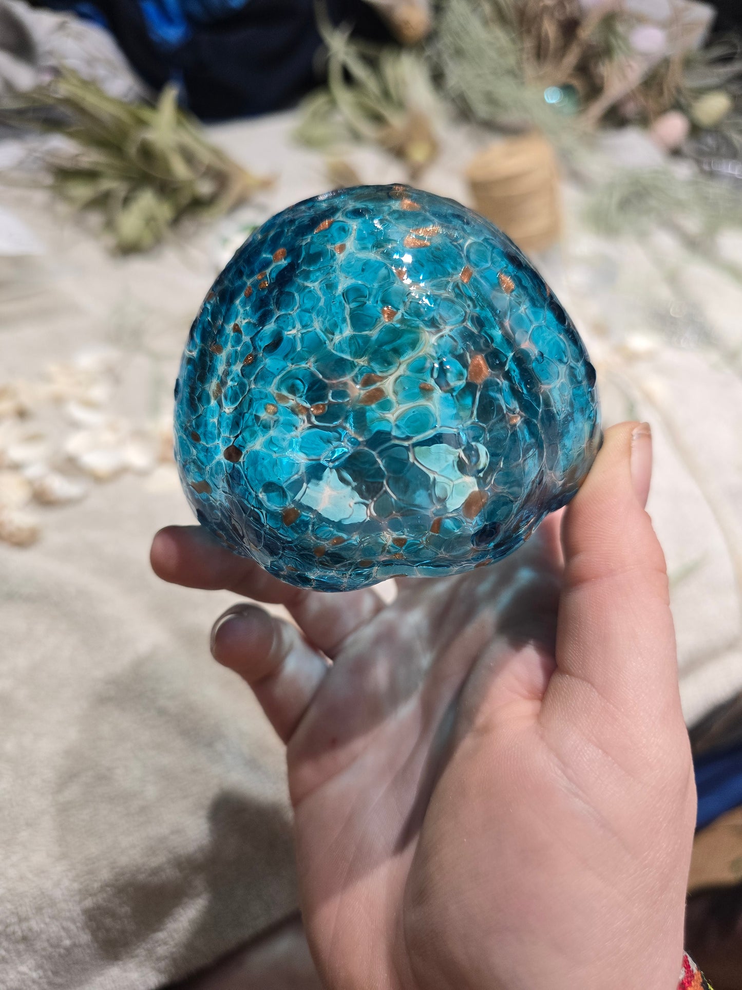 Hanging Sea Urchin Air Plant Jelly Fish!