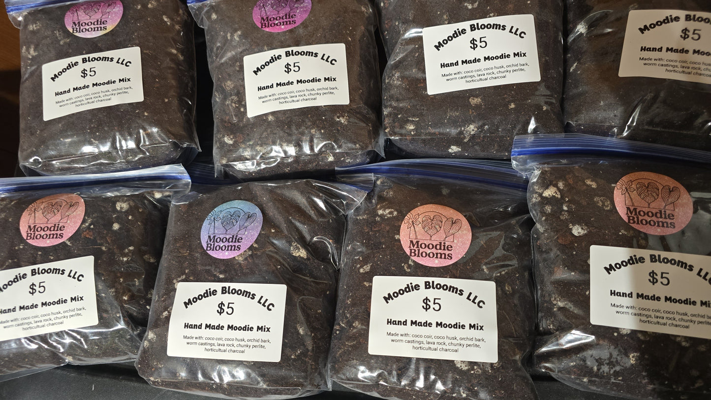 Moodie Mix Soilless Potting Medium (Gallon)